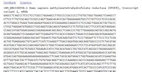 Part of nucleotides sequence in FASTA format for MTHFR gene | Download ...