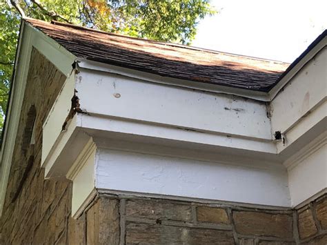 Rooten Fascia Board: How Wood Rot Can Destroy Your Home