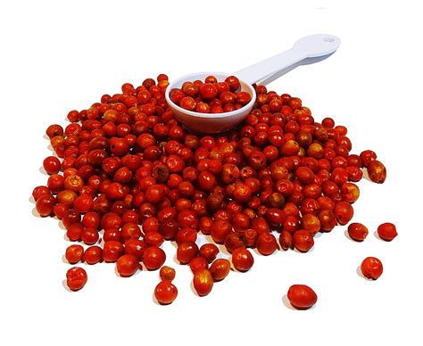 Buy Dried Chiltepin Peppers (Chili Tepin) // Weights: Dried Chiltepin ...