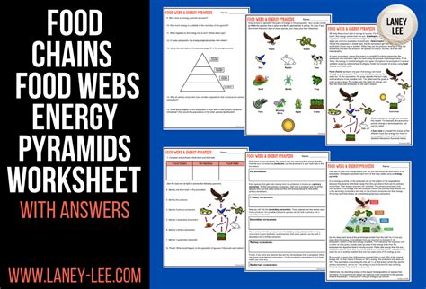 Food Chains and Food Webs Worksheet with Answers - Laney Lee