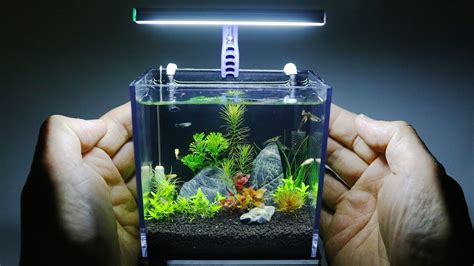 Best Nano Aquariums: 5 Nano Tanks Reviews 2019