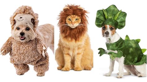 Dog and cat Halloween costumes: Most popular for 2019