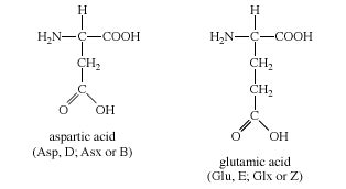 Amino acid - Building Blocks, Structure, Functions | Britannica