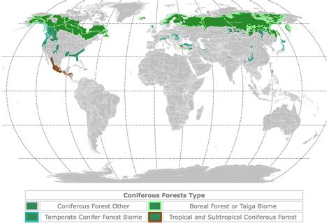 Northwest Coniferous Forest Map