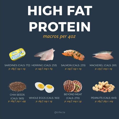 50 High Protein Foods to Help You Hit Your Macros