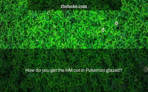 How do you get the HM cut in Pokemon glazed? - The Hake