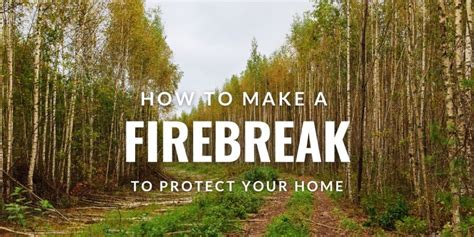 How to Make a Firebreak to Protect Your Home (where & how wide) in 9 ...