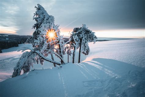 Black Forest - Winter on Behance