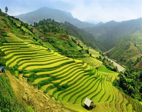 Paddy Fields, Vietnam | 83 Unreal Places You Thought Only Existed in ...