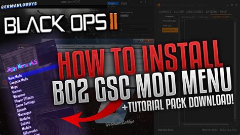 How to use mod menu bo2