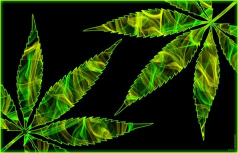 Cannabis Leaf 2 Digital Art by Joshua Fox - Fine Art America