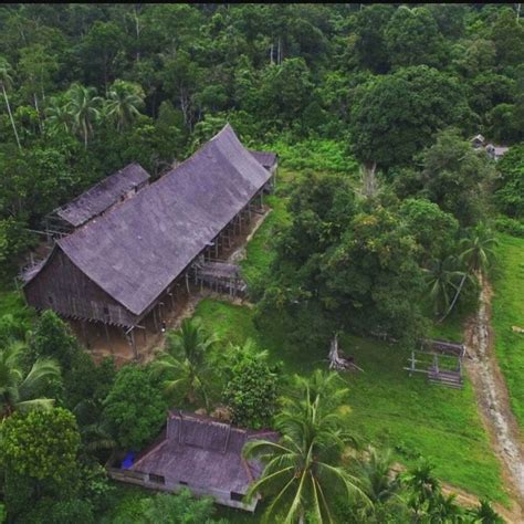 5+ Rumah Adat Kalimantan Timur (NAMA, GAMBAR, PENJELASAN)