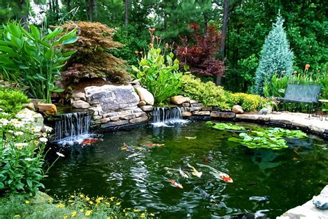 Koi Fish Pond Design - Sander