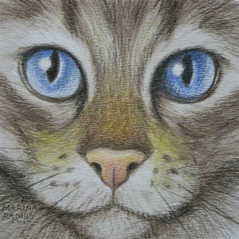 Cat's eyes blue Drawing by Marina Radius | Saatchi Art