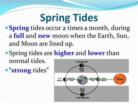 PPT - Tides: PowerPoint Presentation, free download - ID:2426276