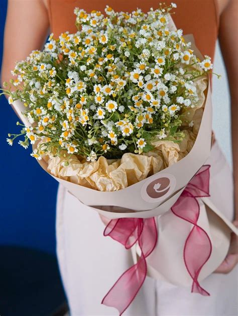 Egg aster gypsophila assorted flower bouquet delivery on Carousell