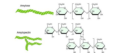 Chemical formula of starch. | Download Scientific Diagram