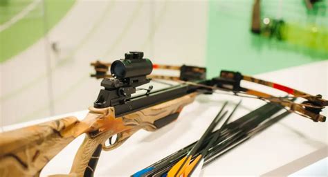 5 Essential Parts Of A Crossbow - A Comprehensive Guide For Beginners