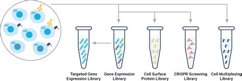 What is Cell Multiplexing? - Official 10x Genomics Support