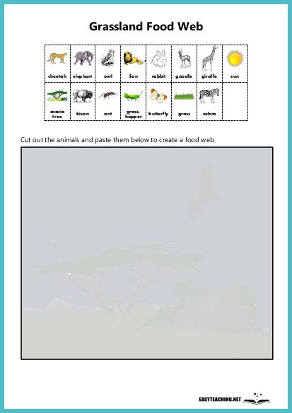 EasyTeaching.net | Resources for Teaching Primary School