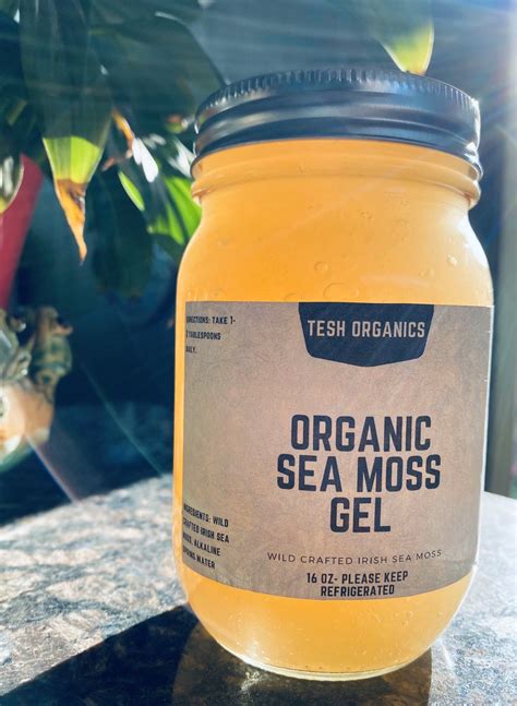 100% Organic Sea Moss Gel | Etsy