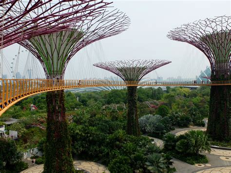 Gardens by the Bay, Singapore