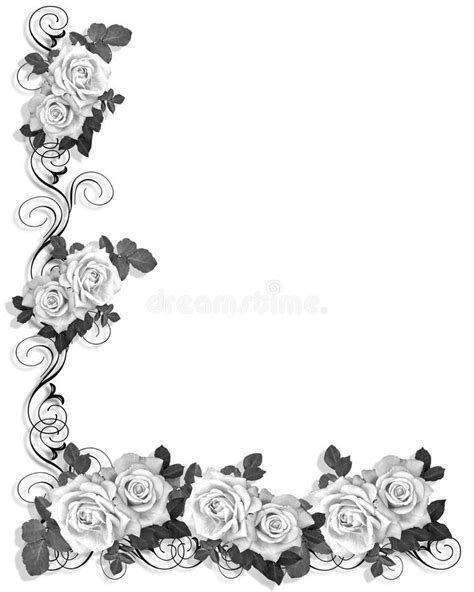 Rose, flower, border stock vector. Illustration of elegant - 33619614