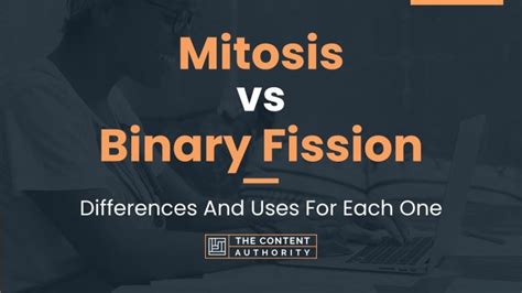 Mitosis vs Binary Fission: Differences And Uses For Each One