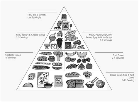 Food Pyramid Clipart Black And White