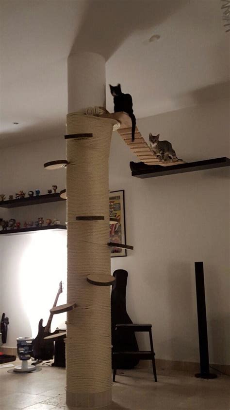 We build a cat climbing wall that our house cats can retreat when we ...