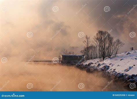 Winter in Siberia stock photo. Image of tree, outdoor - 84525358