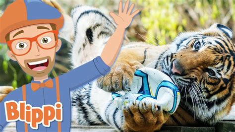 Learning Zoo Animals For Kids With Blippi More Blippi Episodes ...