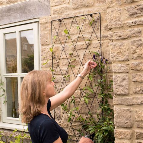 Standard Lattice Wall Trellis Panel - Harrod Horticultural