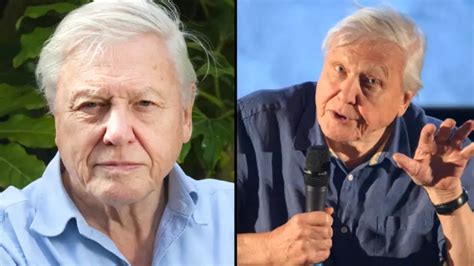 David Attenborough Fans Are Only Just Finding Out About His Brother