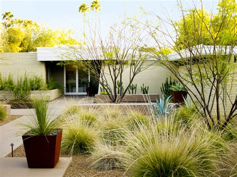 Desert Landscaping Ideas from a Phoenix Front Yard - Sunset Magazine