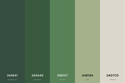 35+ Best Green Color Palettes with Names and Hex Codes – CreativeBooster