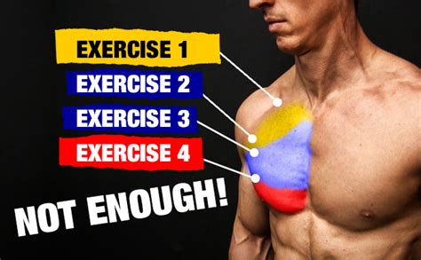 How Many Chest Exercises Per Workout? (Maximum Result)