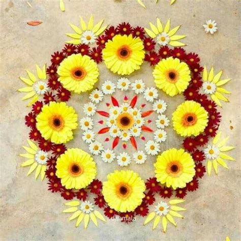 20 Best Flower Rangoli Designs Ideas For Pongal 2024