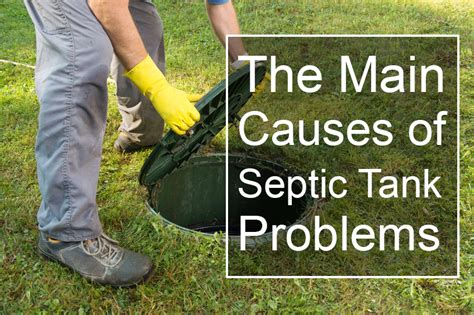 The Main Causes of Septic Tank Problems - MicrobiaLogic