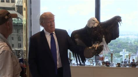 Donald Trump Attacked by Bald Eagle. Symbolism! | The Blemish