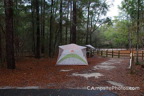 Suwannee River State Park - Campsite Photos, Availability Alerts