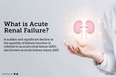 Acute Renal Failure: Causes, Symptoms, Treatment and Cost