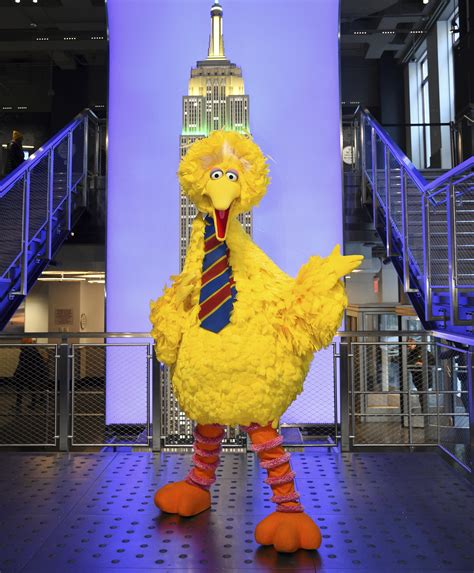 Big Bird backlash: Vax lands even Muppet in political flap | AP News