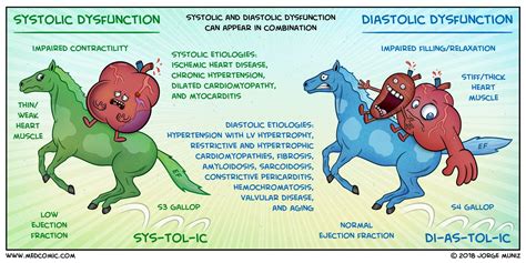 Systolic vs Diastolic Dysfunction | Heart failure nursing, Diastolic ...