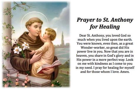 Prayer to St. Anthony Saint Anthony Novena, St Anthony Prayer, Novena ...