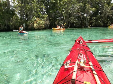 Three Sisters Springs | Canoe and kayak, Three sisters springs, Kayaking