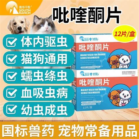 Pet dog and cat deworming medicine coccidia toxoplasmosis infection E ...