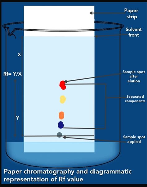 Chromatography Diagram Labeled