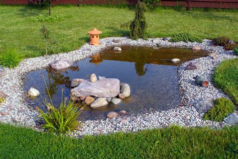 5 Creative Garden Pond Ideas to Transform Your Outdoor Space