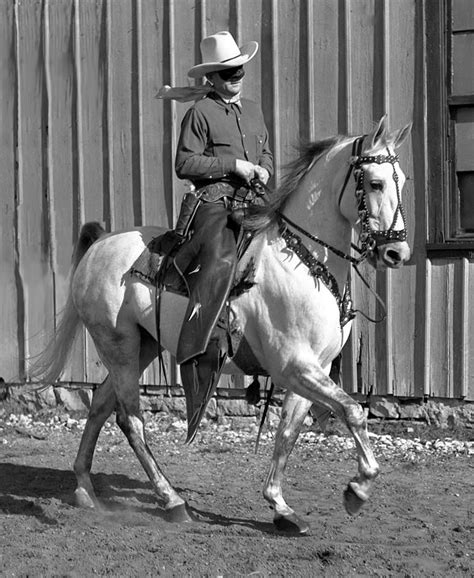 Silver Chief, one of the horses to portray the Lone Rangers horse ...